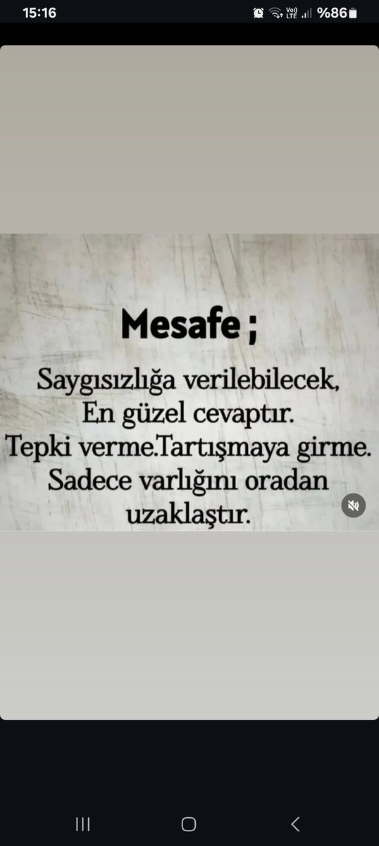 Gizmo Slvt (@gizmoslvt) on Twitter photo 