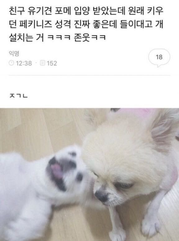 챱 (@lovx11_very) on Twitter photo 