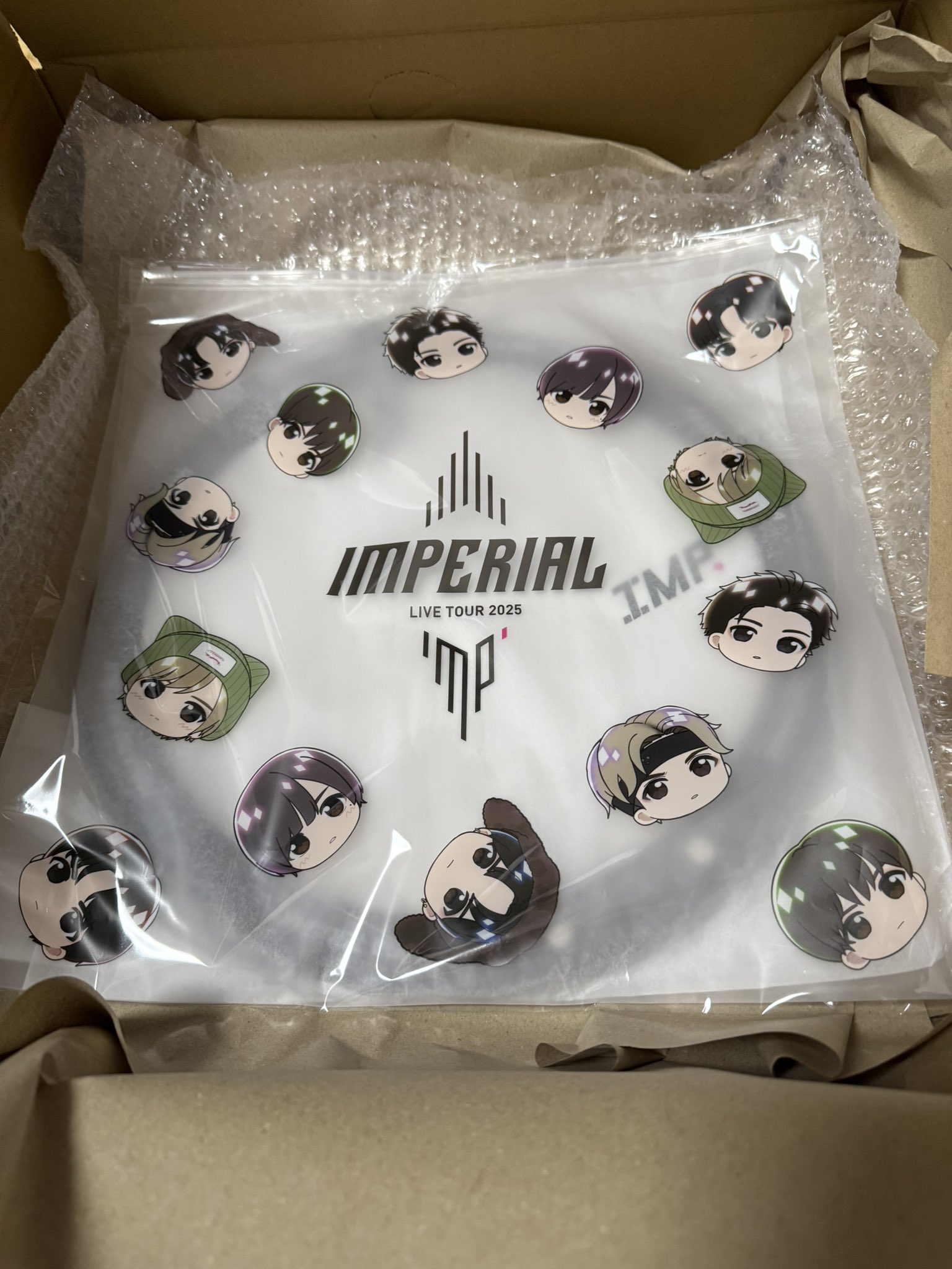 【未開封】IMP. 「IMPERIAL」ツアー2025 完走記念うちわケース IMPERIAL」ツアー完走記念！うちわケース | TOBE OFFICIAL STORE