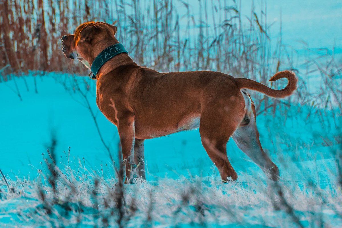 Happy Jackurday ❤️❤️❤️ #Jackurday