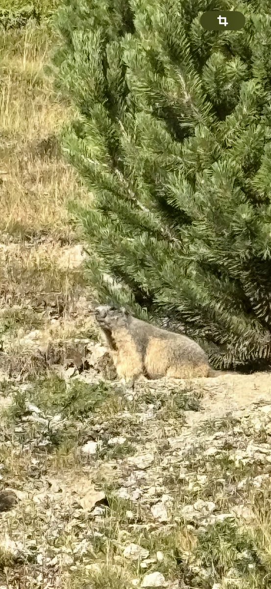 Circular Peretol, refugi Pla de les Pedres 2.150 m, base dels Cubils 2.450 m, Peretol. Andorra