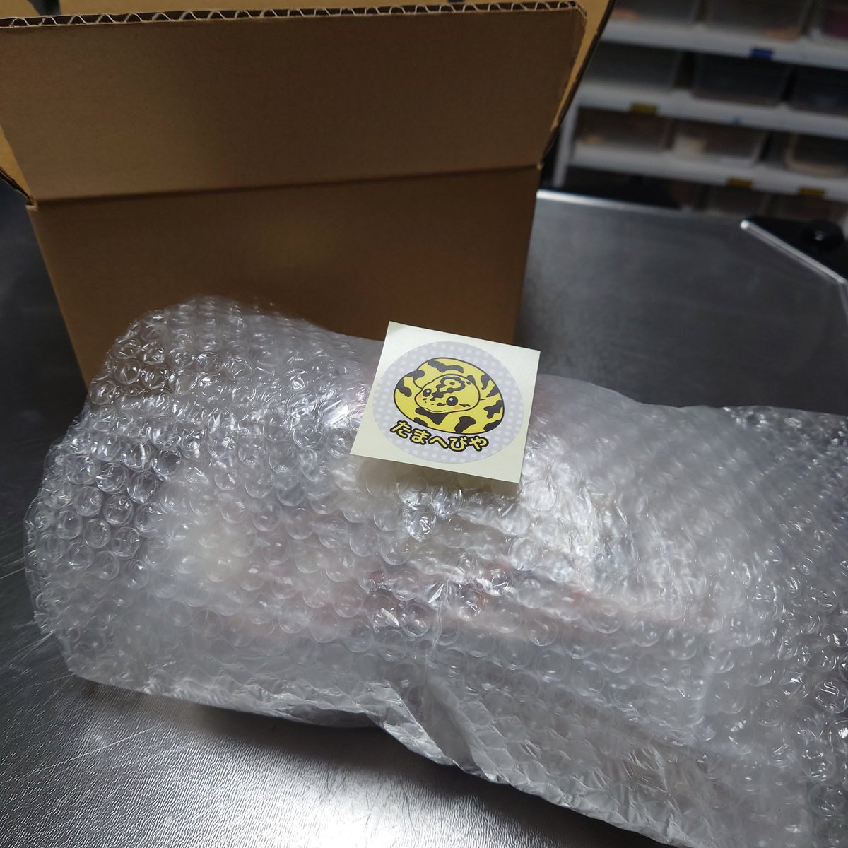 冷凍ヤワゲネズミ販売