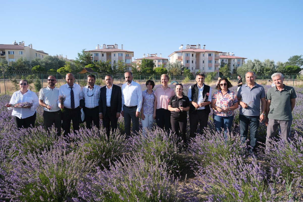 6. Tıbbi ve Aromatik bitkiler hasat bayramı ilimizdeki Tarımsal üretim paydaşları ve Üniversitemiz öğretim üyelerinin yoğun katılımı ile yapıldı, Emeği geçen herkese ve katılım sağlayan misafirlerimize teşekkürler