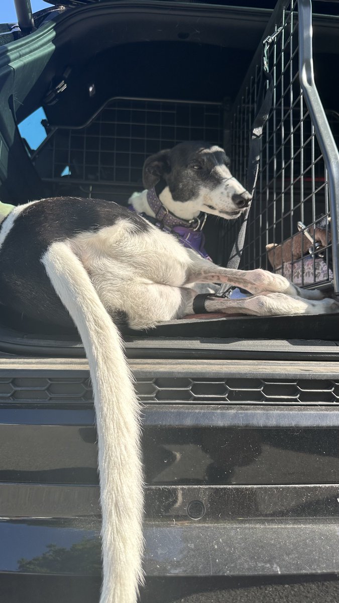 Fire’s Brigade tweet media