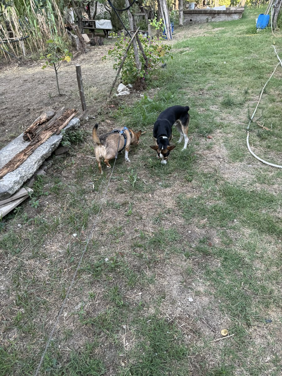 Linda and her BF ❤️