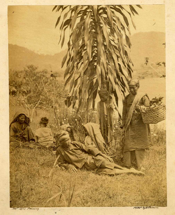 Group of Malay men and women resting beneath a tree.
November 1863
Thomson, J. (John), 1837-1921 (photographer)