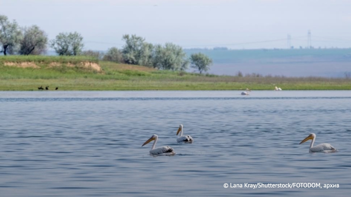 Спасатели обнаружили в Сорбулакском водохранилище, куда, предположительно, упал военный вертолет Eurocopter EC-145 с тремя членами экипажа, тело и фрагменты воздушного судна, сообщили в Минобороны:
vk.cc/cOqkPf