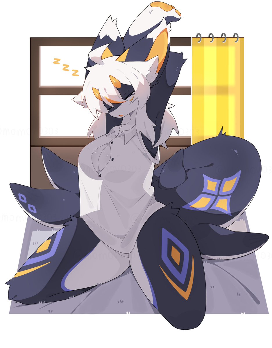燈籠(^._.^)ﾉ🏮🐾🐾 tweet media