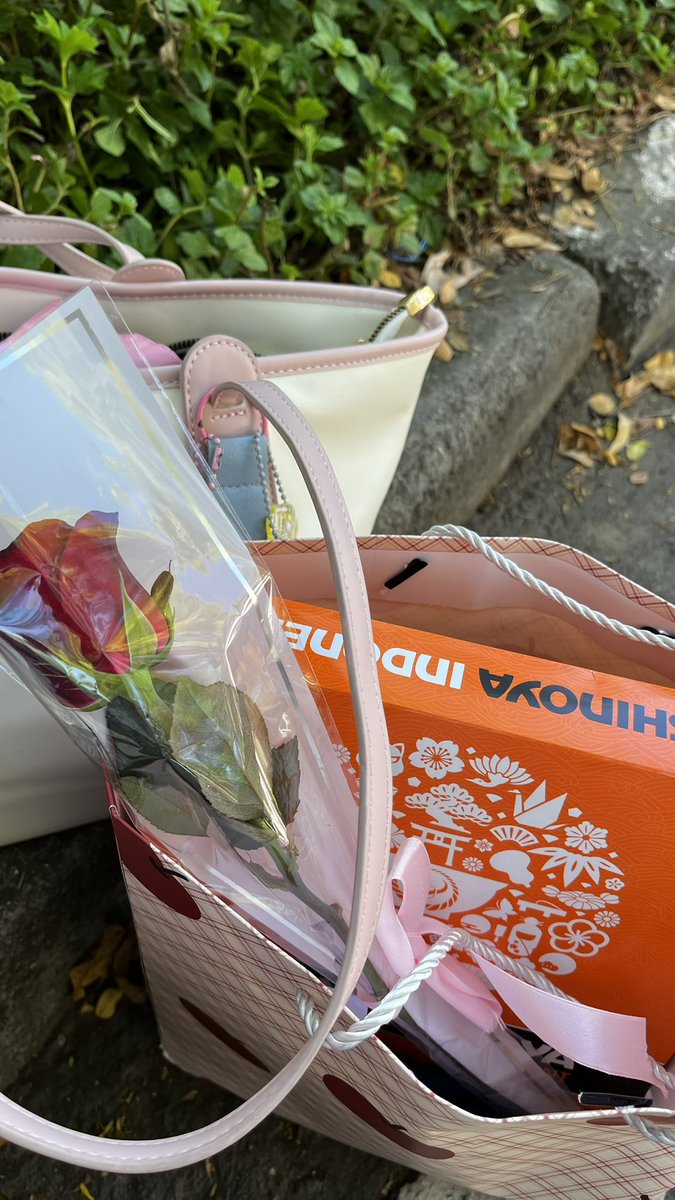 rawrouble's tweet image. pulang amerta bawa 🤩☝🏻