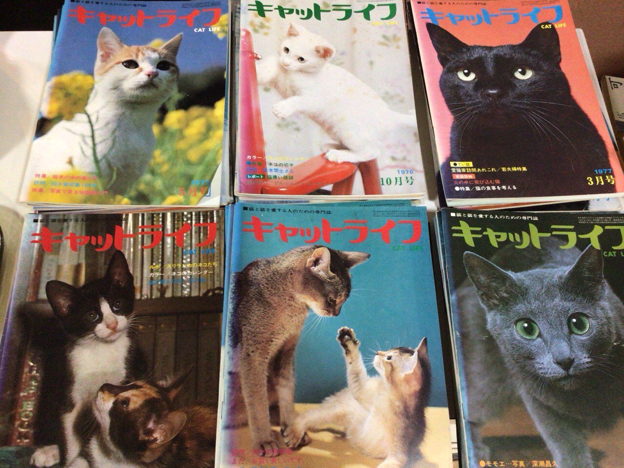里帰り猫 タカハシキャット　ブックスエンド　本の声を聞く猫 1970年代 里帰り猫 タカハシキャット ブックスエンド 本の声を聞く猫 1970