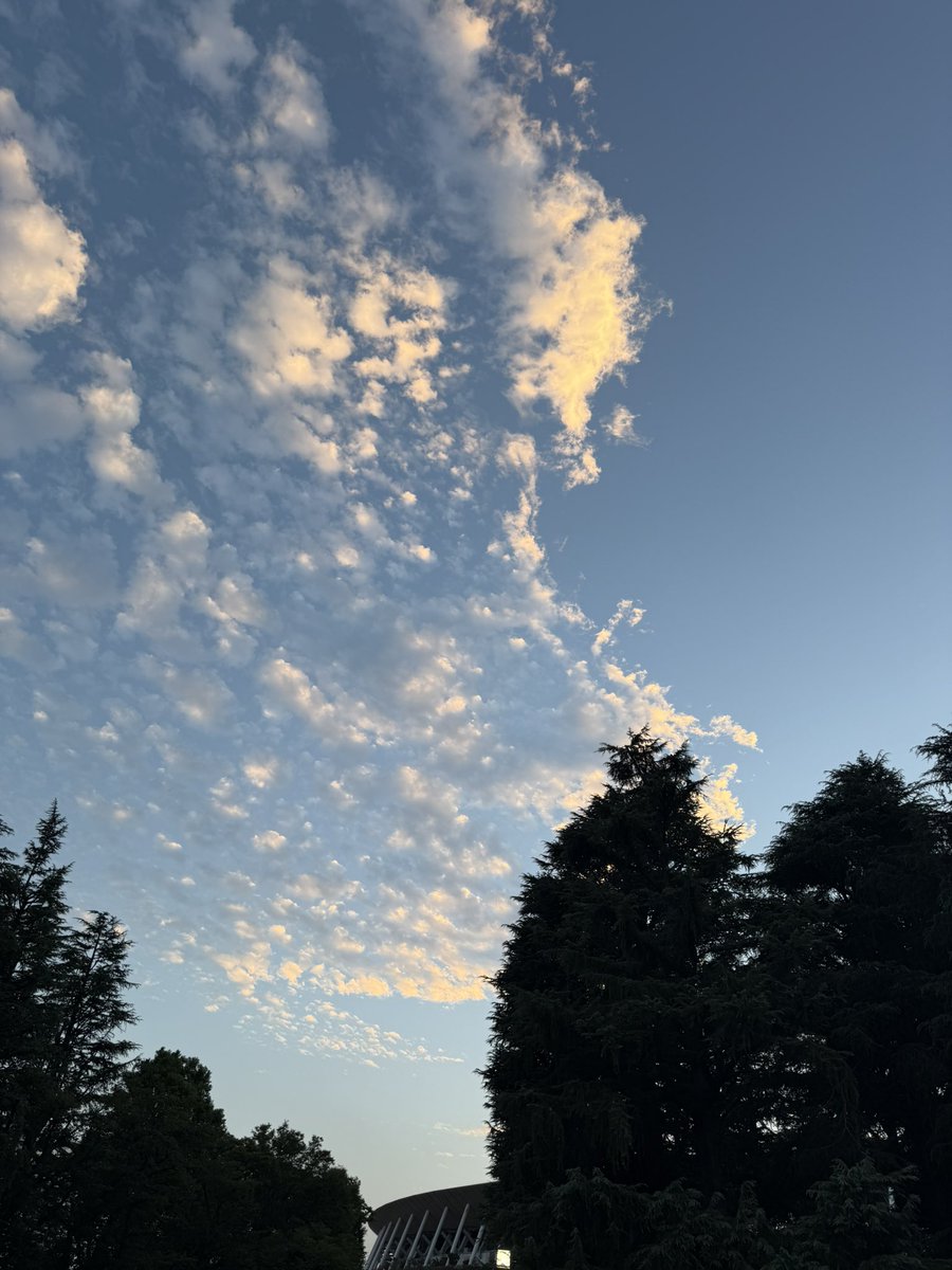 今日の空

試合して、帰宅して、バッセン行って、これからお肉食べる😋