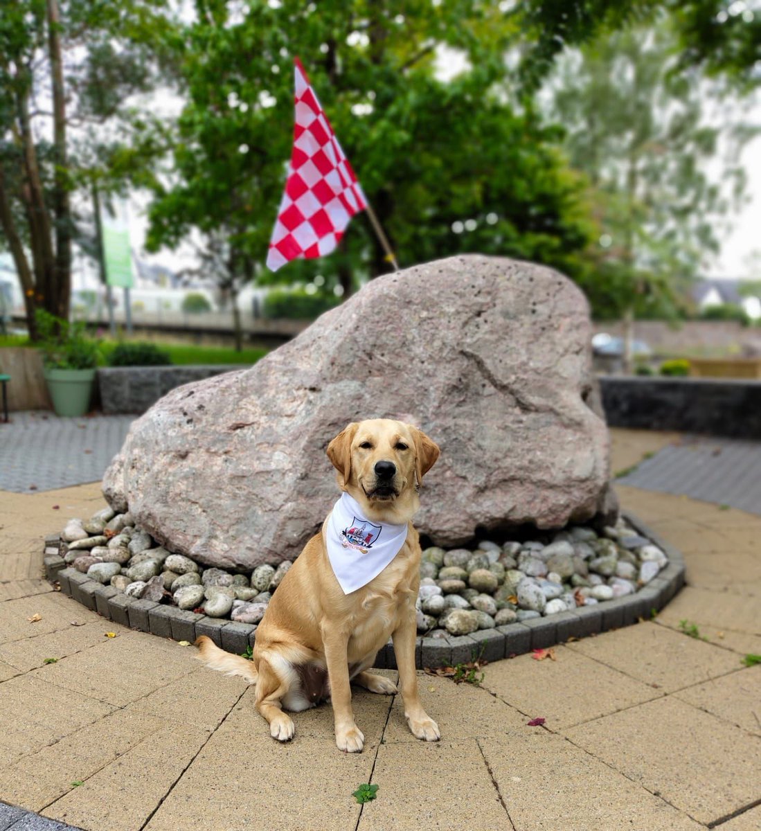 Best wishes to our friend Amy O'Connor and all at Cork Camogie in this weekends All Ireland Camogie Final!

Up the Rebelettes!

#ChangingLives
