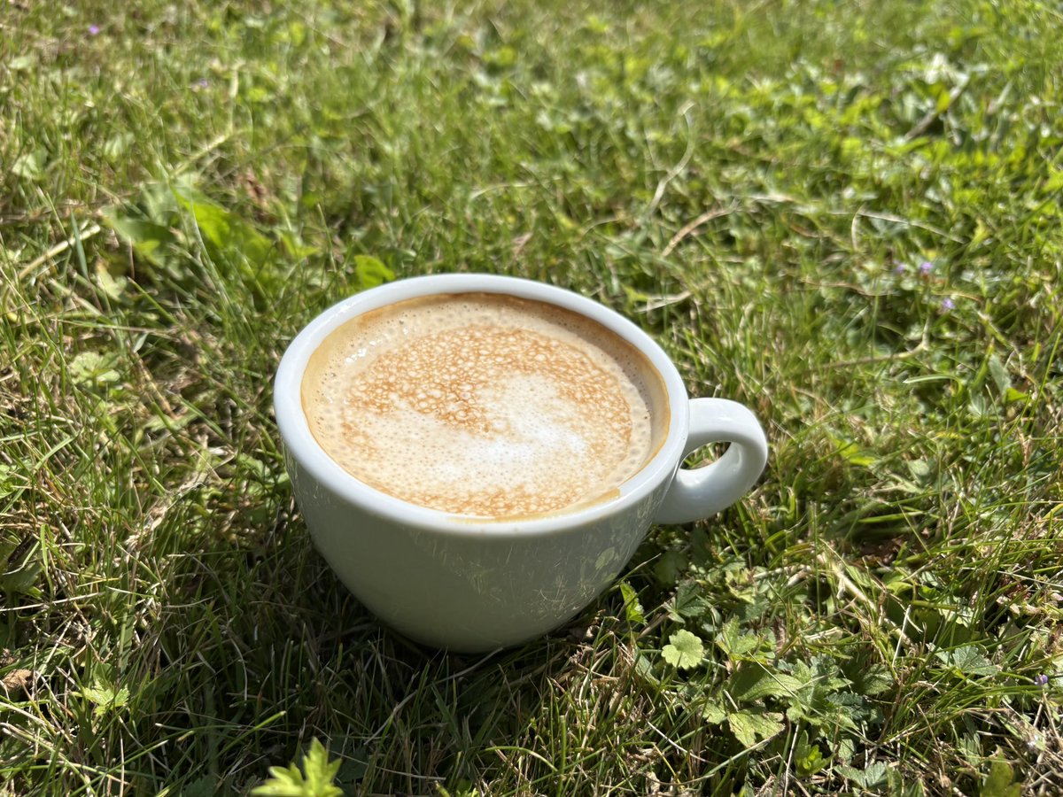 Creating uncertainty, sowing confusion, and undermining morale and trust in the state within the adversary are among the key objectives of information operations.