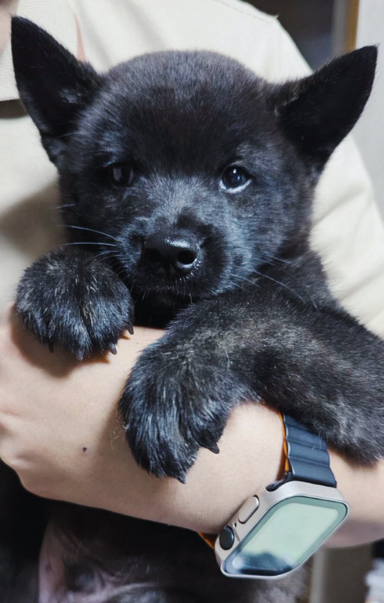 Newファミリー🐶
ちゃちゃ丸☺️