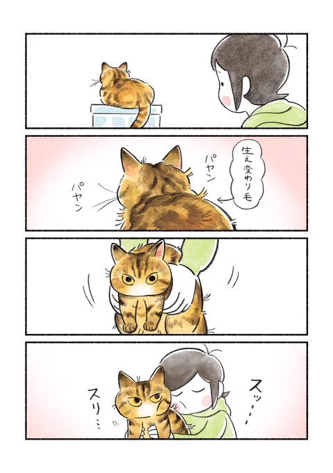 ぷんちゃん漫画まとめ③ 