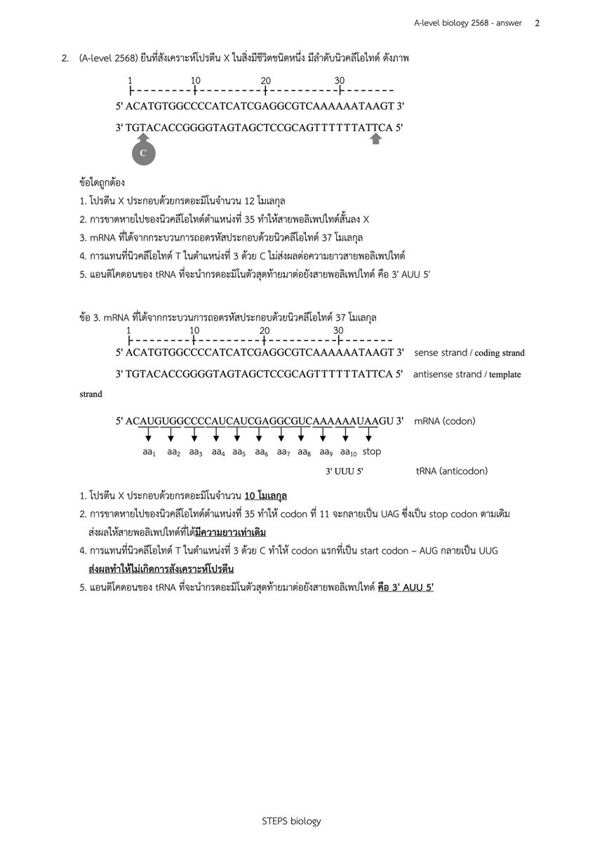 STEPs Biology tweet media