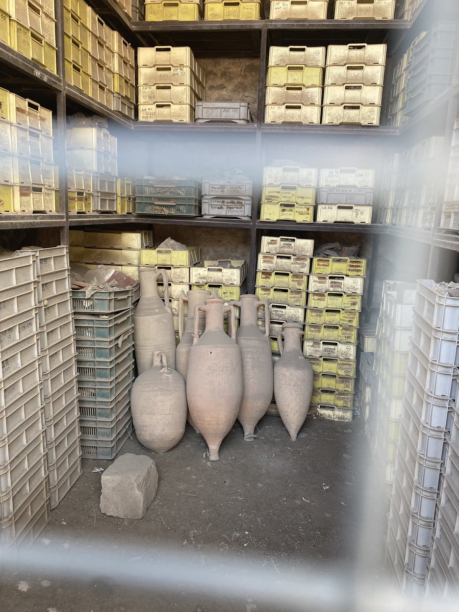 ashjclery's tweet image. Wonderful visit to Pompeii today.

Arson attacks have set alight wildfires on Vesuvius 😢

#histedchatie