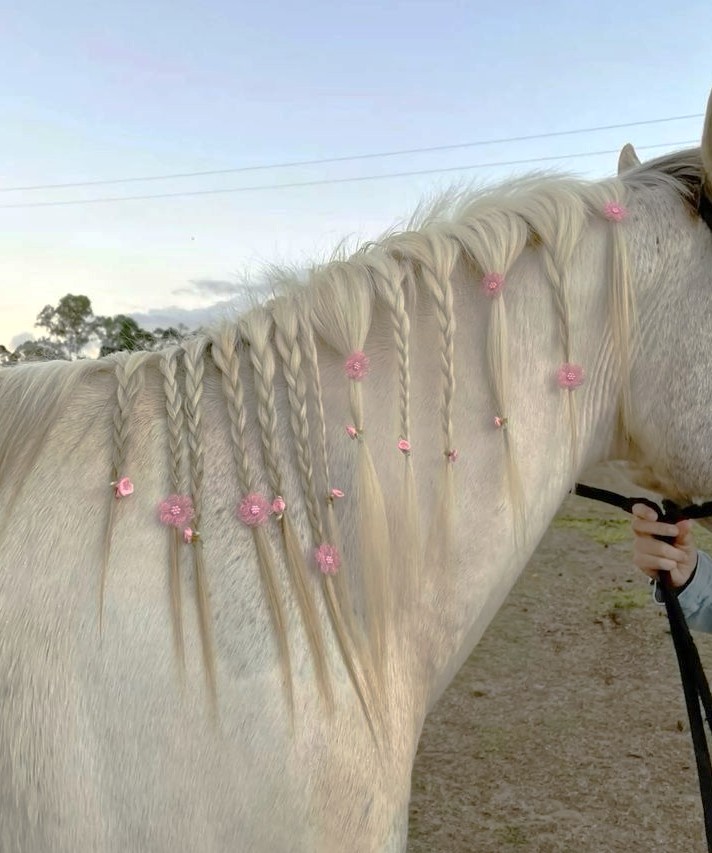 ♡ (@heart_jpg) on Twitter photo 