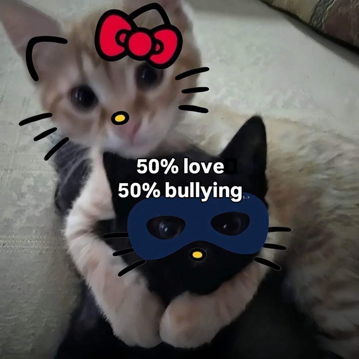 Miaw (@miaw) on Twitter photo 