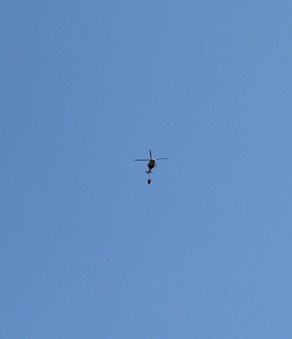 Jess 😈 tweet media