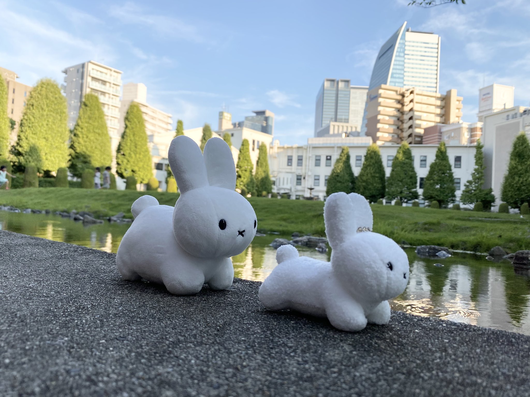 野生のうさぎ on X: 