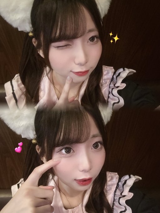 池猫 ~池袋の猫たち~のツイート