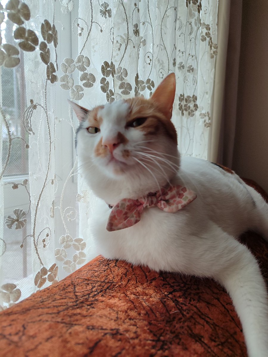 Bu efde sarı kula eksikliyi çekiorm