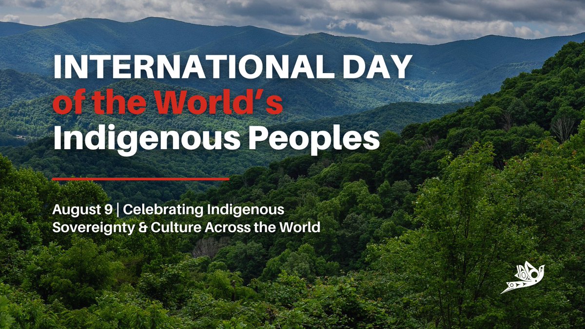 From our roots here on Turtle Island, we stand in solidarity with our relations across the globe. We are looking forward to the day our work reaches an international scale, supporting innovators around the world! 🌍

👉 Visit us to learn more: indigenousinnovate.org