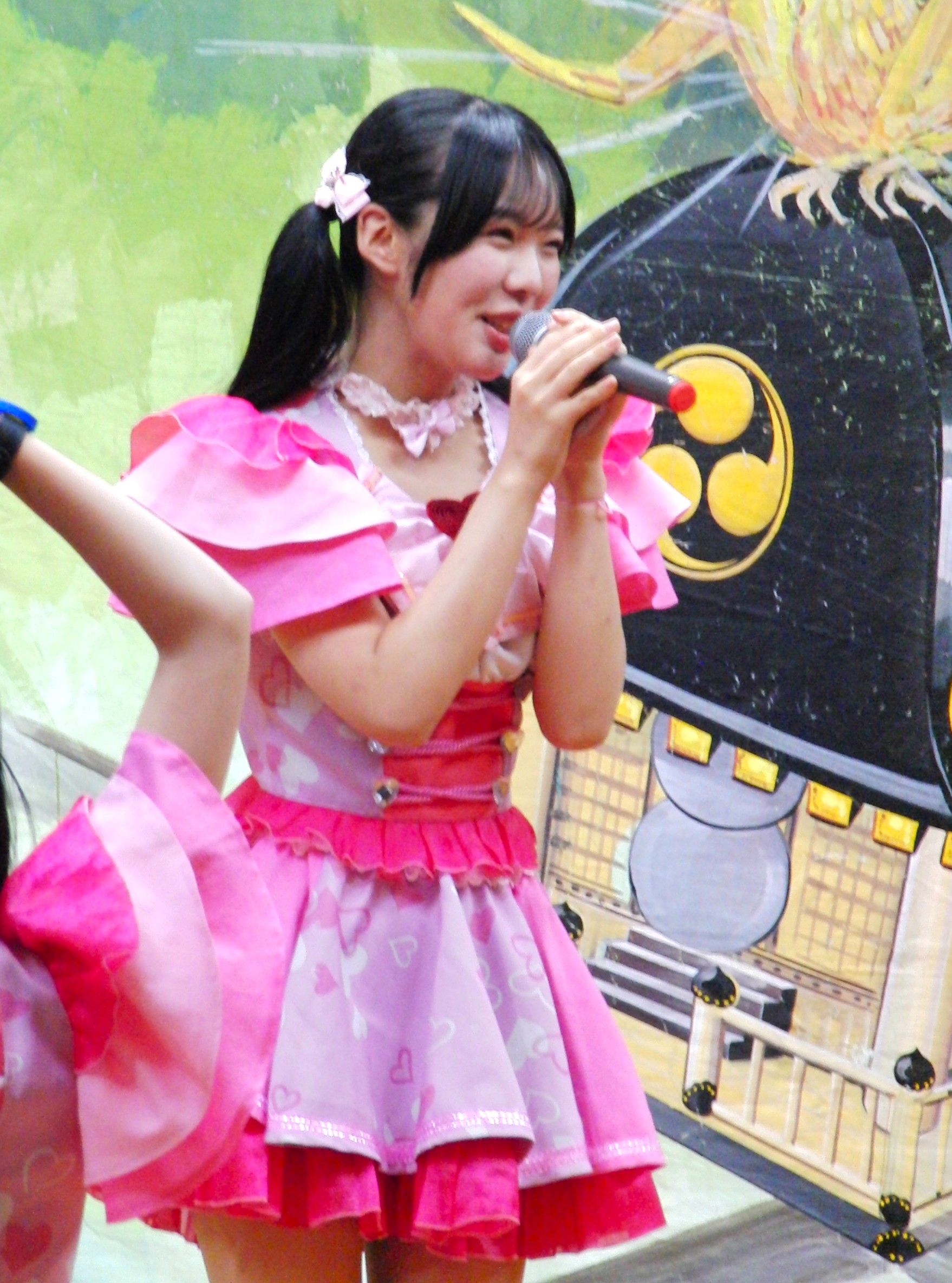 アイドルプロフィール 50名鑑 向井 葉月 （むかい はづき、1999年8月23日 - 東京都出身）は