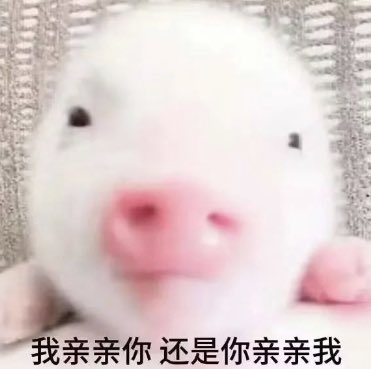 jhy200507's tweet photo. 我亲亲你还是你亲亲我 https://t.co/sH9qC5AGgi