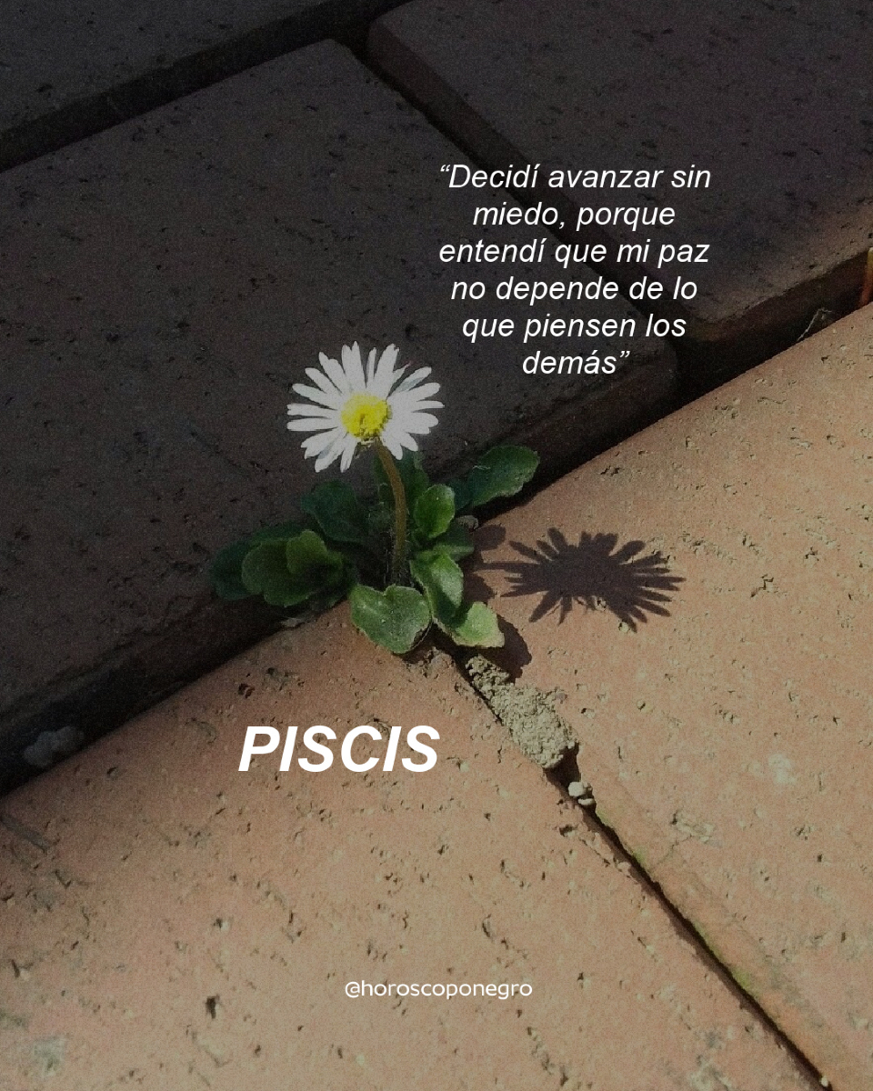 🖤