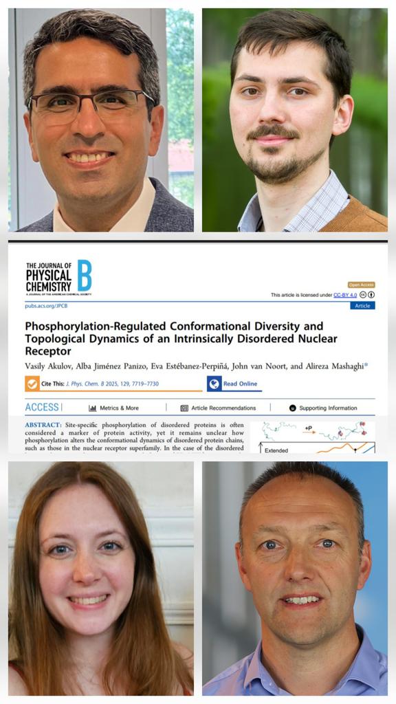 @EstebanezLab (@eva46653369) on Twitter photo 🎯 Check Journal of Physical Chemistry paper lead by <a href="/AlirezaMashaghi/">Alireza Mashaghi</a> on phosphorylation-regulated conformational diversity and topological dynamics of an intrinsically disordered nuclear receptor with Vasily Akulov as first author in collab with John van Noort and <a href="/AlbaJimP1/">Alba Jiménez-Panizo, PhD</a> 🎉 🎯 Check Journal of Physical Chemistry paper lead by <a href="/AlirezaMashaghi/">Alireza Mashaghi</a> on phosphorylation-regulated conformational diversity and topological dynamics of an intrinsically disordered nuclear receptor with Vasily Akulov as first author in collab with John van Noort and <a href="/AlbaJimP1/">Alba Jiménez-Panizo, PhD</a> 🎉