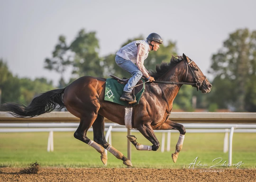 Saludos amigos, ya en casa descansando y recuperándome, espero poder estar denuevo la semana próxima con ustedes, los extraño y los aprecio, un abrazo.