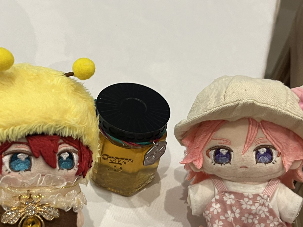 クレビマリンタワー初日参加してました〜
おともだちのこはちゃんぬいと。
クレビの蜜あった！！！！！