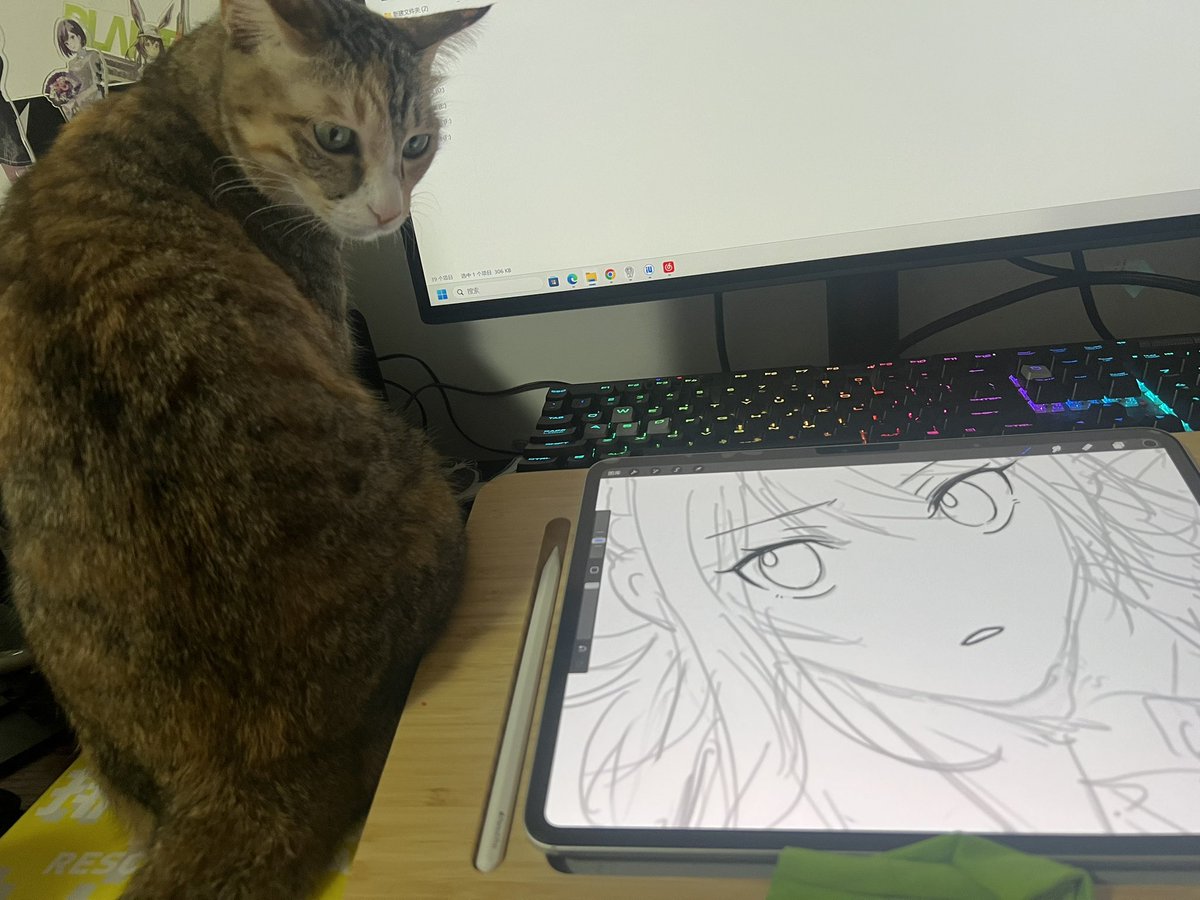 YOZORA tweet media