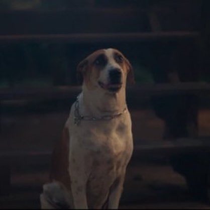 ม๋าเด็กตุวนั้นโตมากลายเป็นม๋าอ้วร 🐶

Khemjira The Series EP1
#เขมจิราต้องรอดEP1