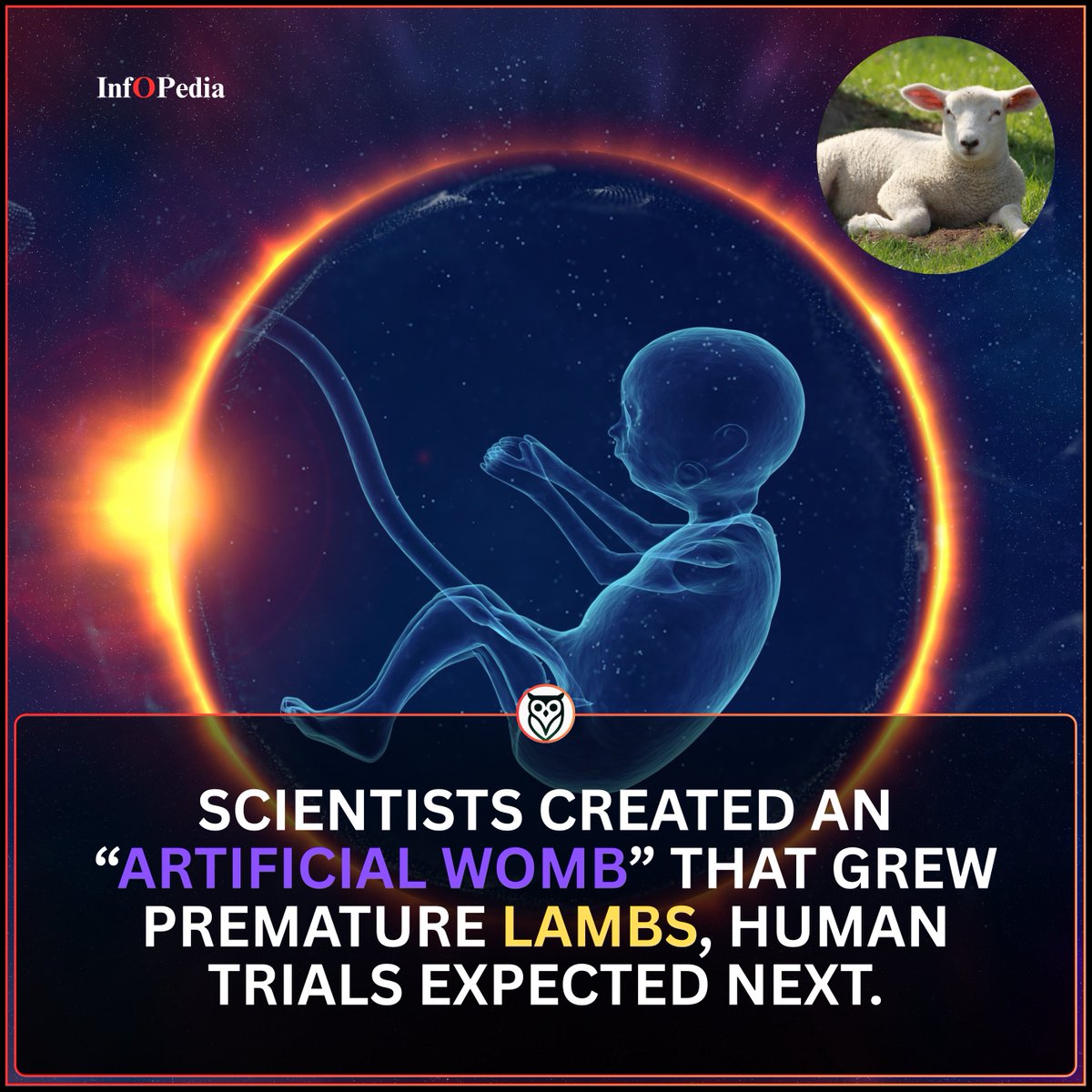 Inf⭕️Pedia tweet media