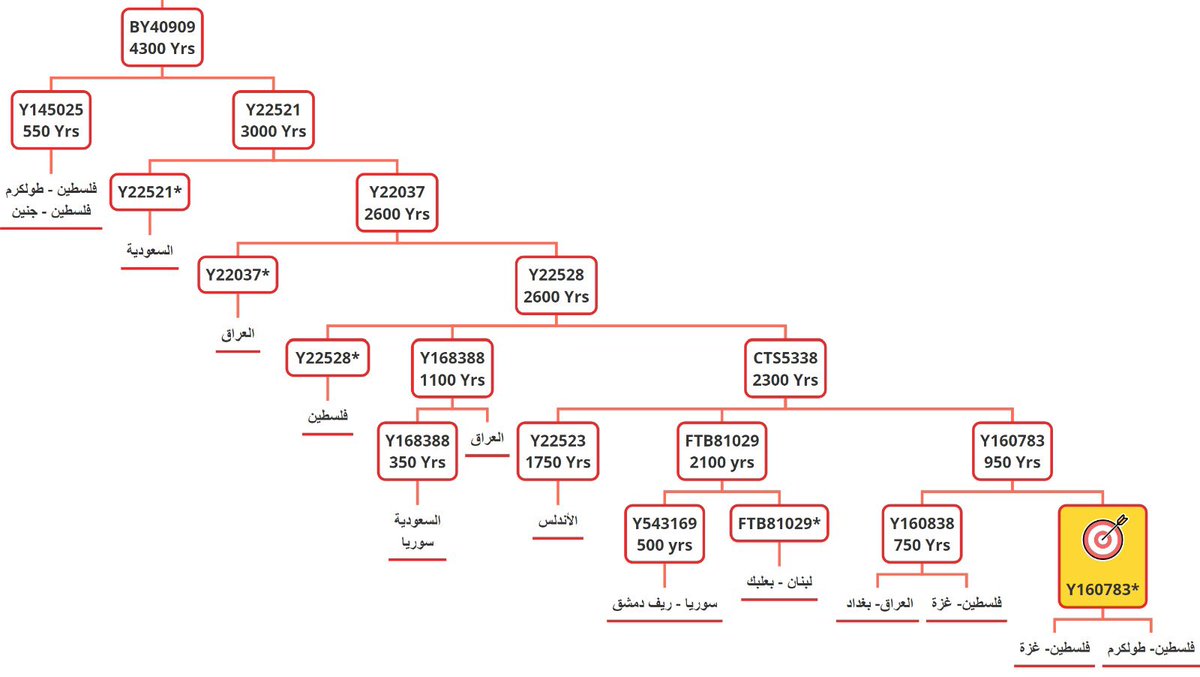 j2b-M205 tweet media