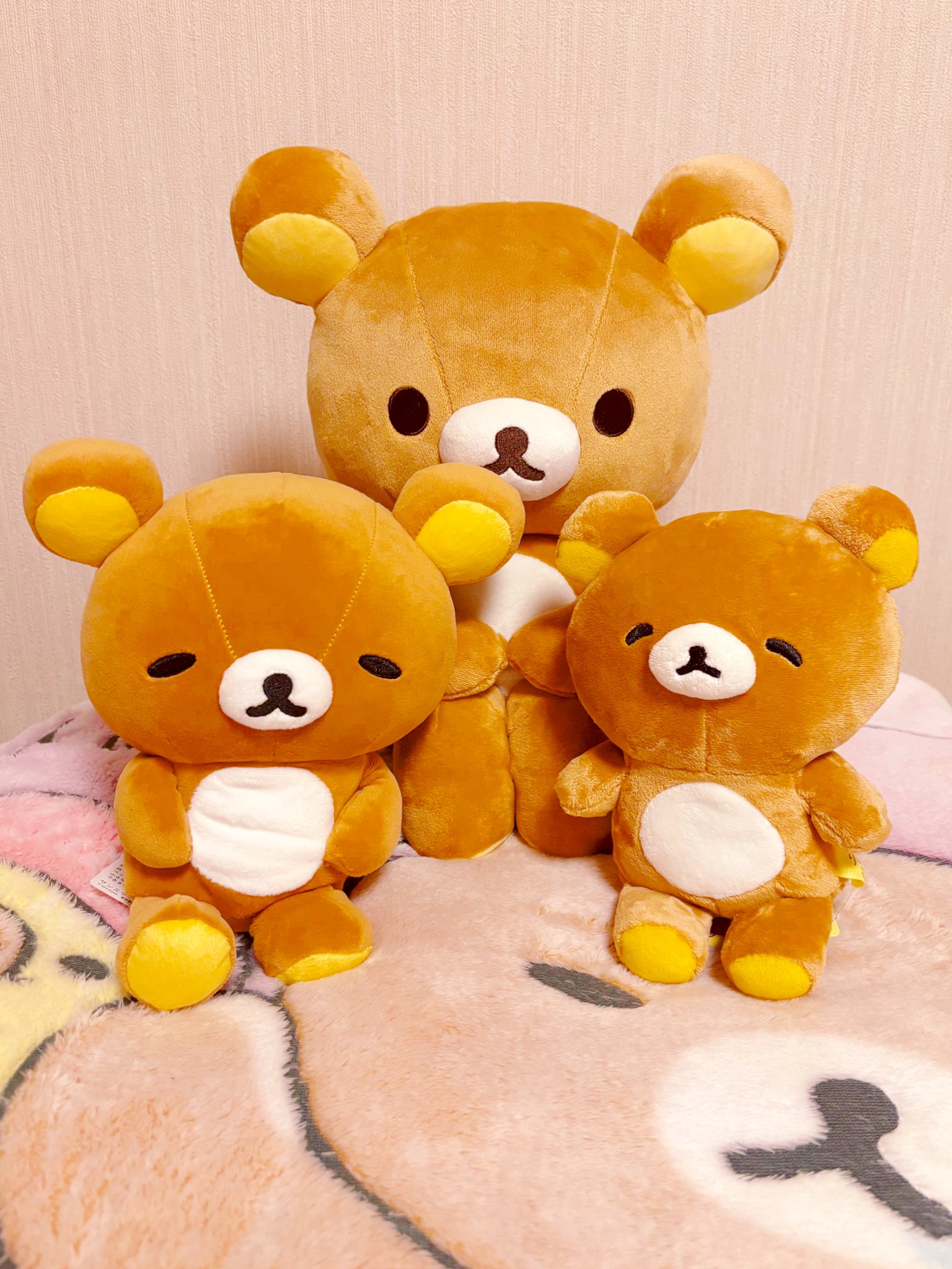 こぐまる🍯 on X: 