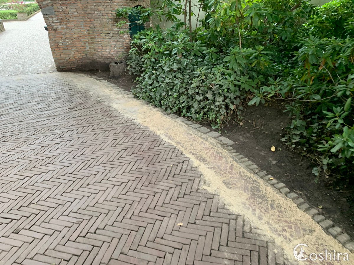 Coshira_'s tweet photo. Zo te zien was er wat onderhoud aan de bestrating in het Sprookjesbos.
#Efteling #Sprookjesbos #Paden https://t.co/zWF1MQrKtg