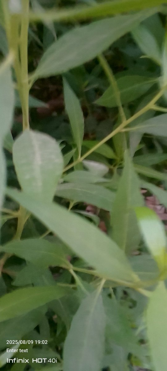 officallyB's tweet image. 