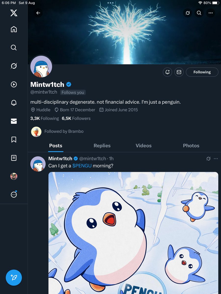 st4vr⬡x 2.0 🏛️☀️🕊️ tweet media