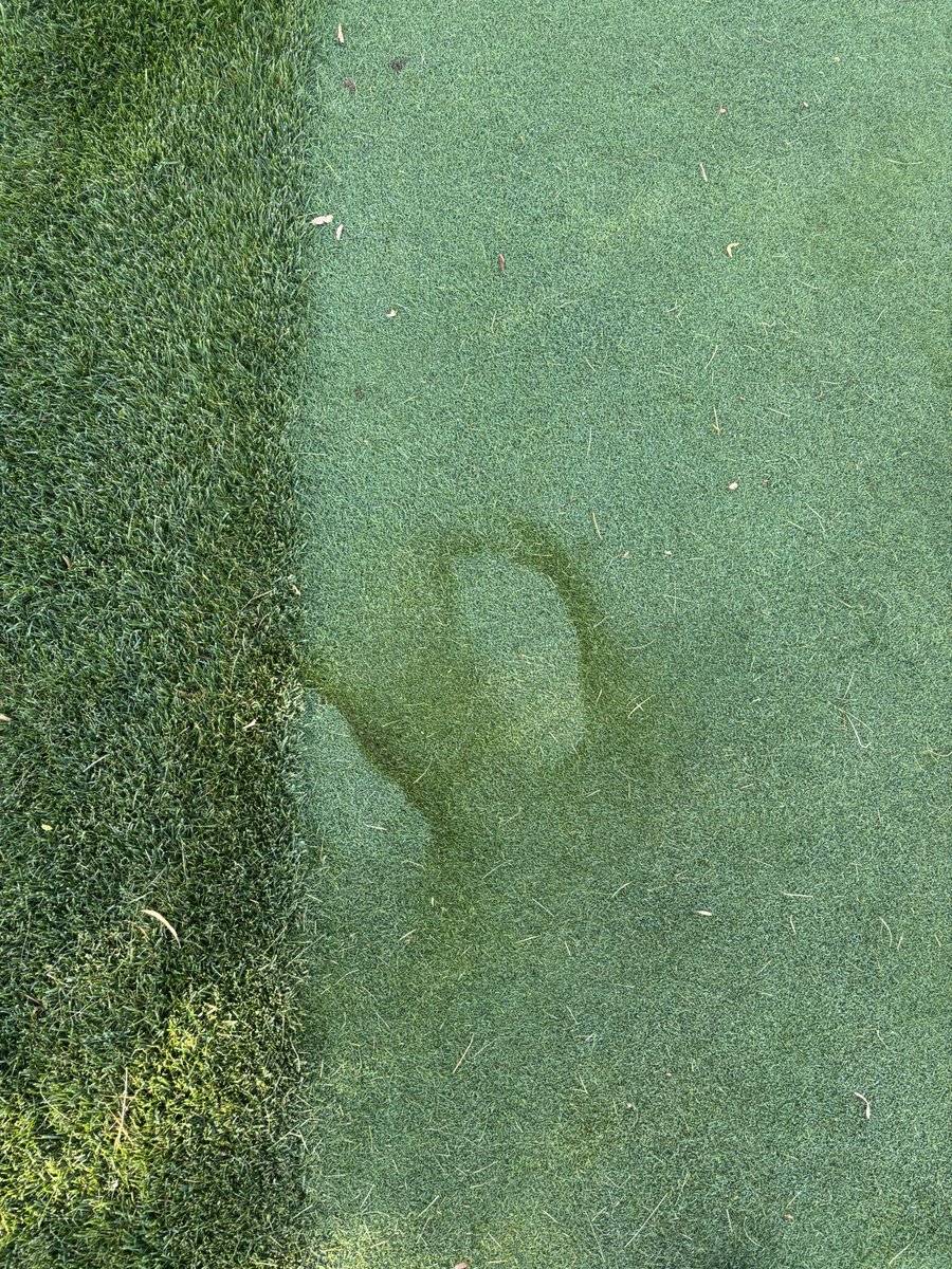 emcaseyturf's tweet photo. Dear golfers, 
If you are a sunscreen wearing person, please don’t apply it on the turf. 
Sincerely,
Me and the bentgrass on 4 black tee😐 https://t.co/sUWtNjRkoM