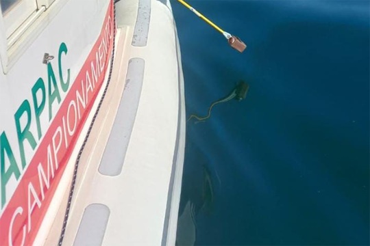 🌊✅Acque di balneazione.  
Parametri microbiologici sono ritornati nei limiti a #Vietri (Sa) - tratti "Marina di Vietri II tratto'' e "Marina di Albori". Il Comune è stato informato per i provvedimenti di competenza.    Dati⬇️
portale.arpacampania.it/widget/web/bal…
⬇️
portale.arpacampania.it/widget/web/bal…