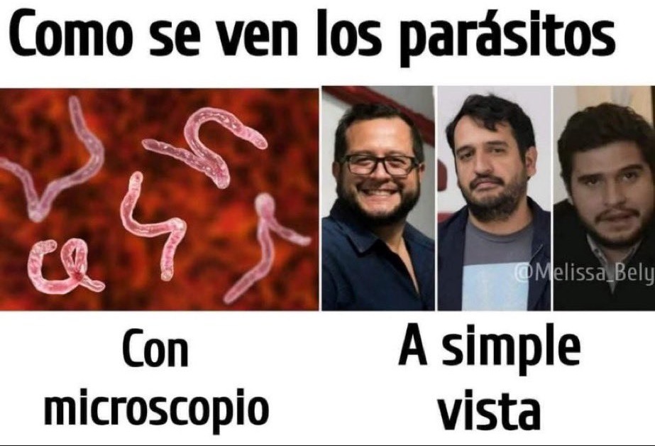 ...y las vacunas cubanas los engordan