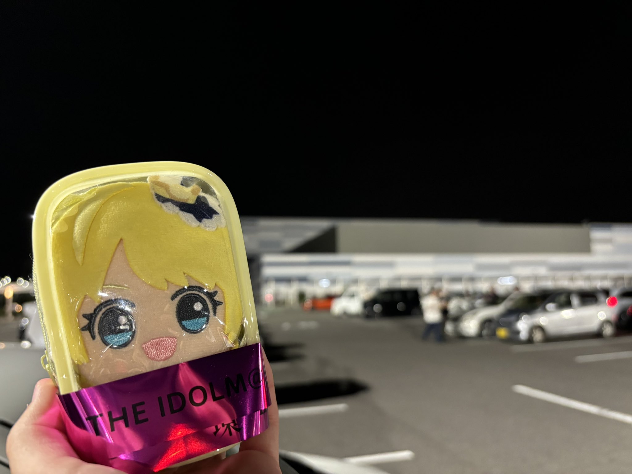 みかん♡ 桜島小みかんの激安販売