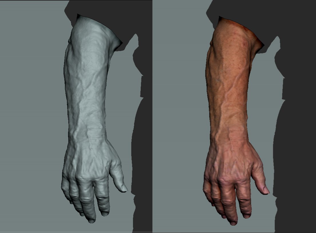 mikemranda's tweet photo. Arms WIP of my personal project. 

#zbrush #anatomy #3Dsculpture https://t.co/UFpZLTyIlH