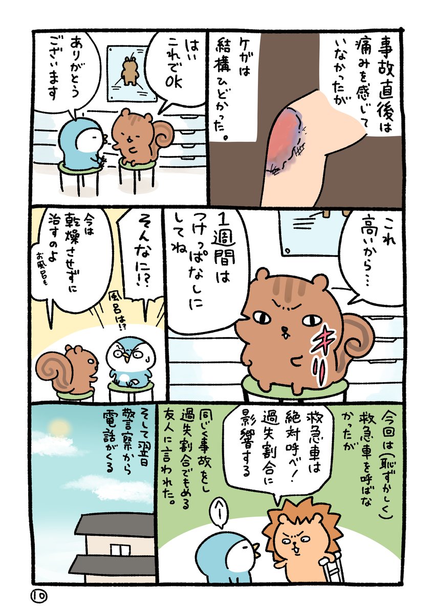 赤信号無視の車に轢き逃げされた話【10】        
つづく