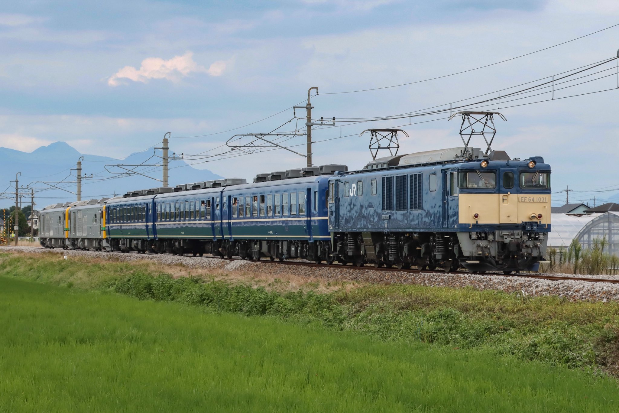 odahaya8823 on X: 