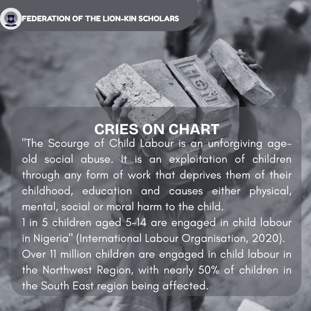 LionKinScholars's tweet photo. Child labour is a long-standing societal issue. Millions of children are denied education in any form. We all have a role to play in safeguarding the future of the Nigerian child. #EndChildLabour #StopChildLabour #ChildRights  #ProtectChildren #NoToChildLabour. https://t.co/x9eRCdQUuL